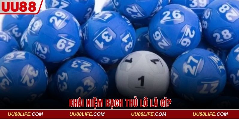 Khái niệm bạch thủ lô là gì?
